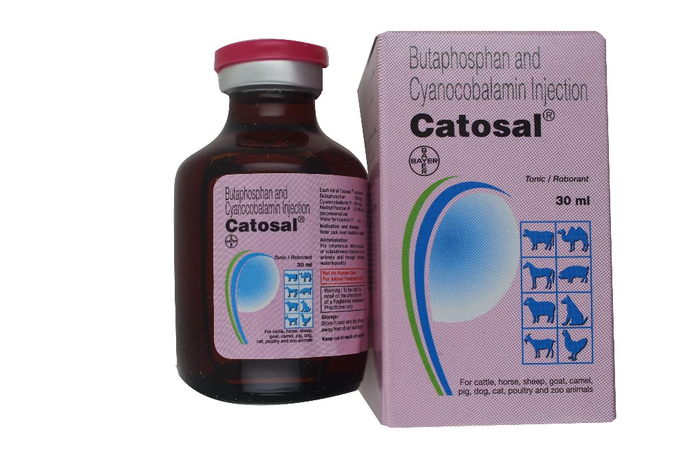 Catosal Butaphosphan & Cyanocoalbamin 30ml Elanco