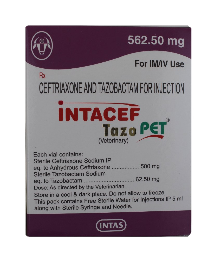 Intacef Tazo 562.5 gm Intas Ceftriaxone Tazabectum