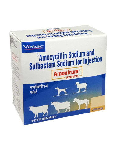 Amoxirum Forte 300mg Amoxxilin sulbactum Virbac
